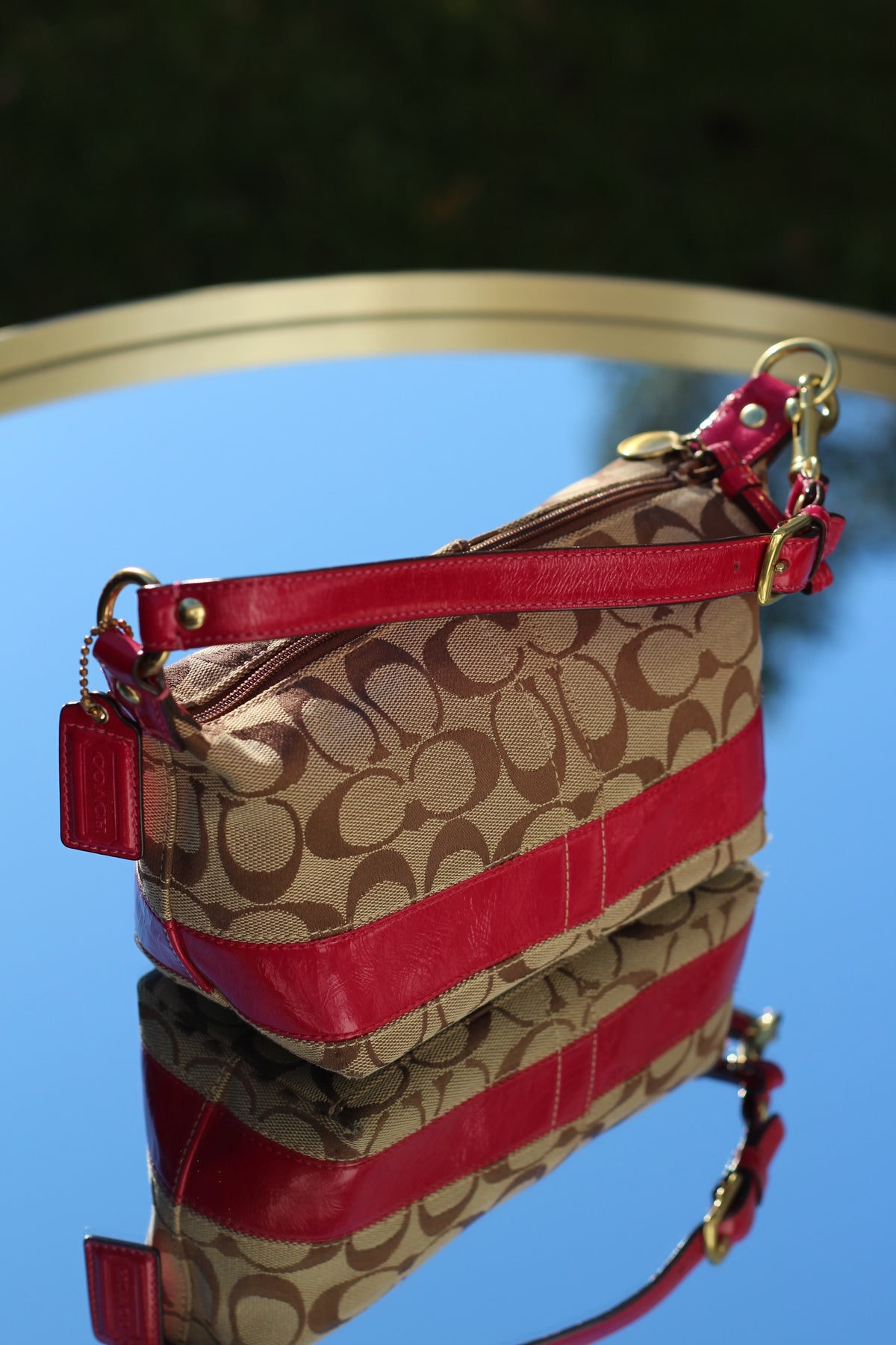 Coach Signature Canvas Mini Bag