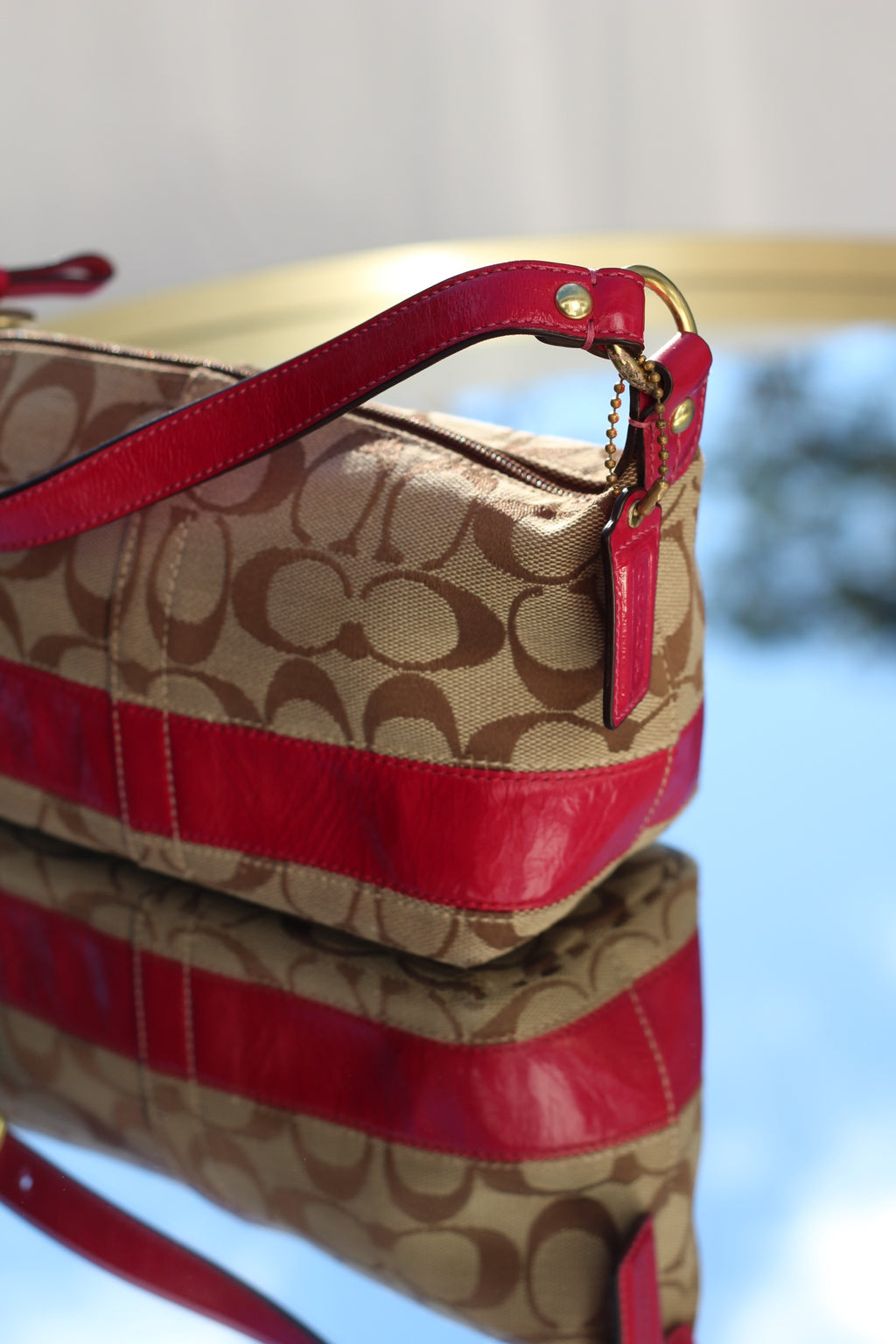Coach Signature Canvas Mini Bag