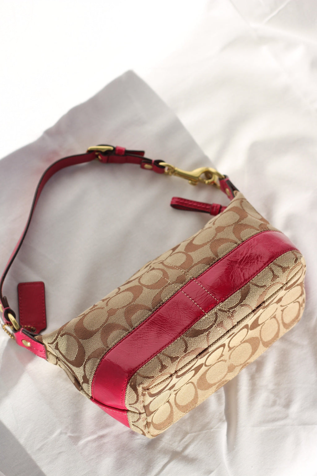 Coach Signature Canvas Mini Bag
