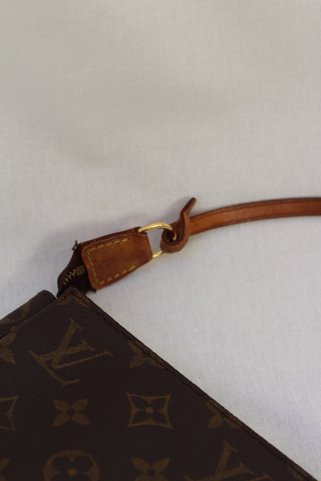 Louis Vuitton Pochette Accessoires