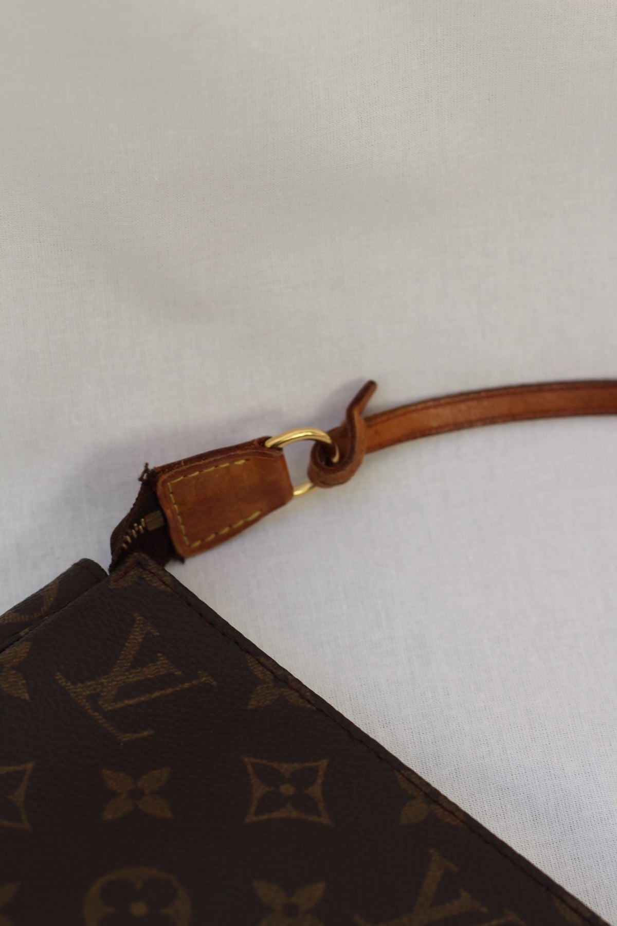 Louis Vuitton Pochette Accessoires