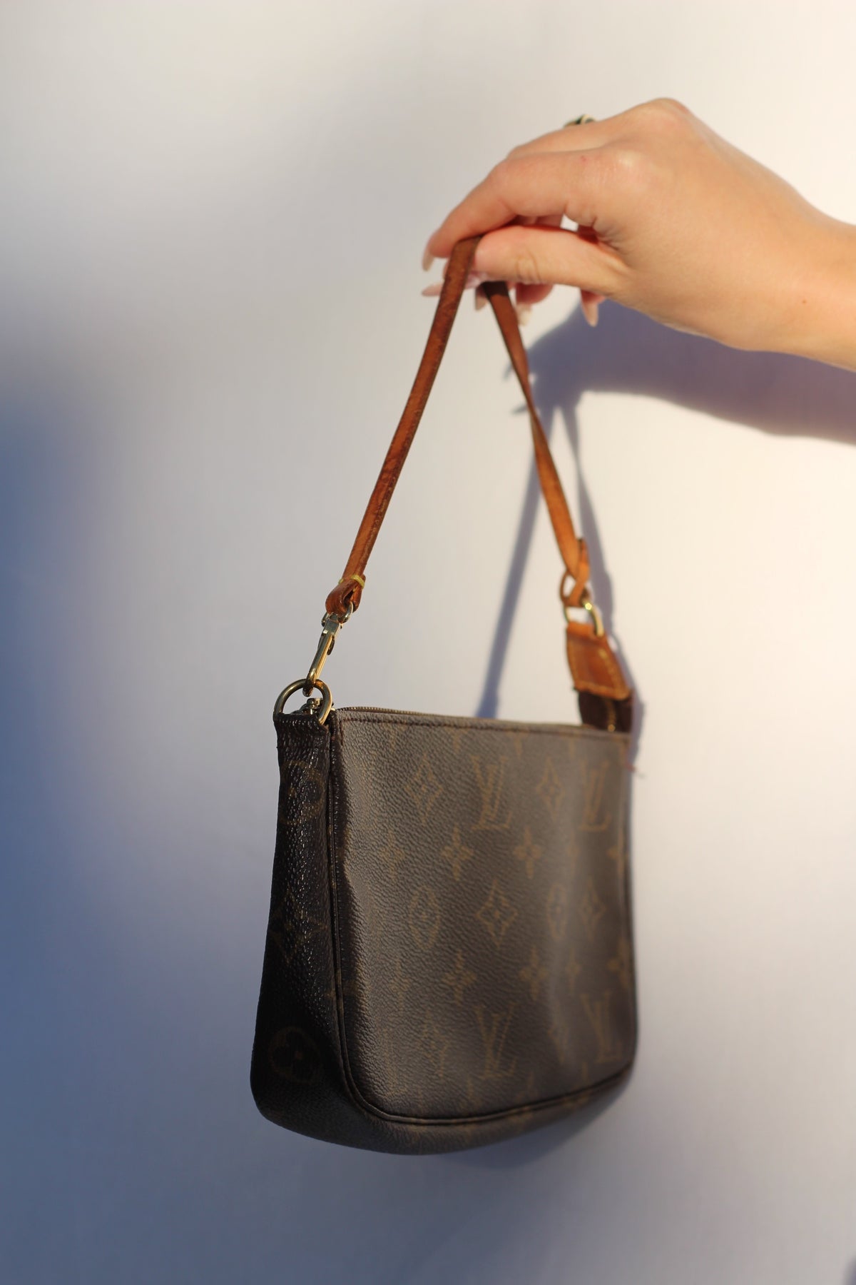Louis Vuitton Pochette Accessoires