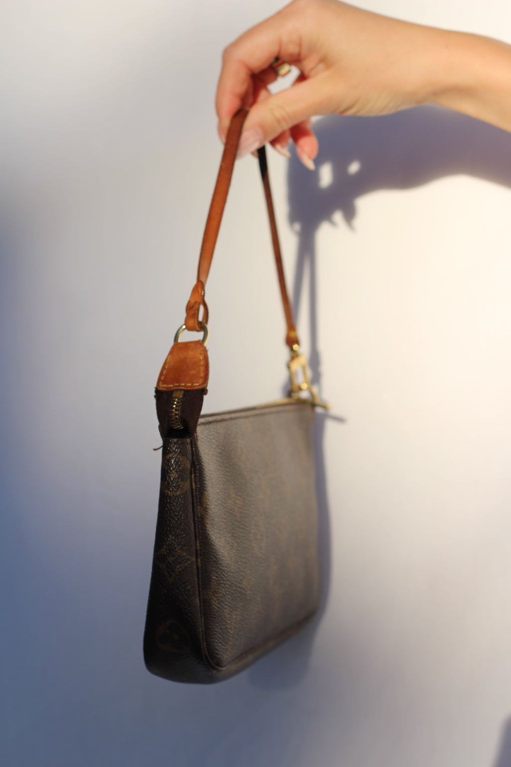 Louis Vuitton Pochette Accessoires