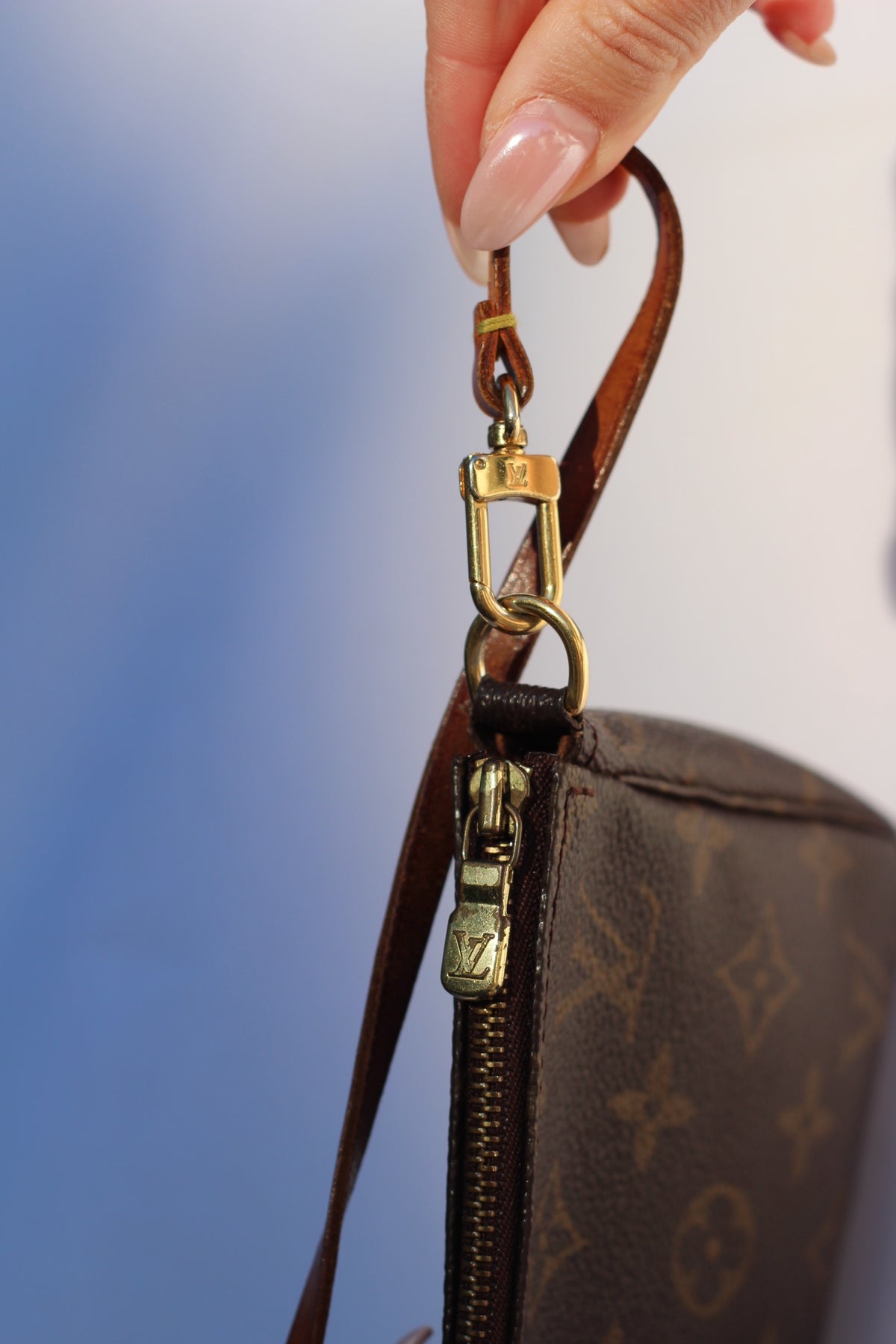 Louis Vuitton Pochette Accessoires