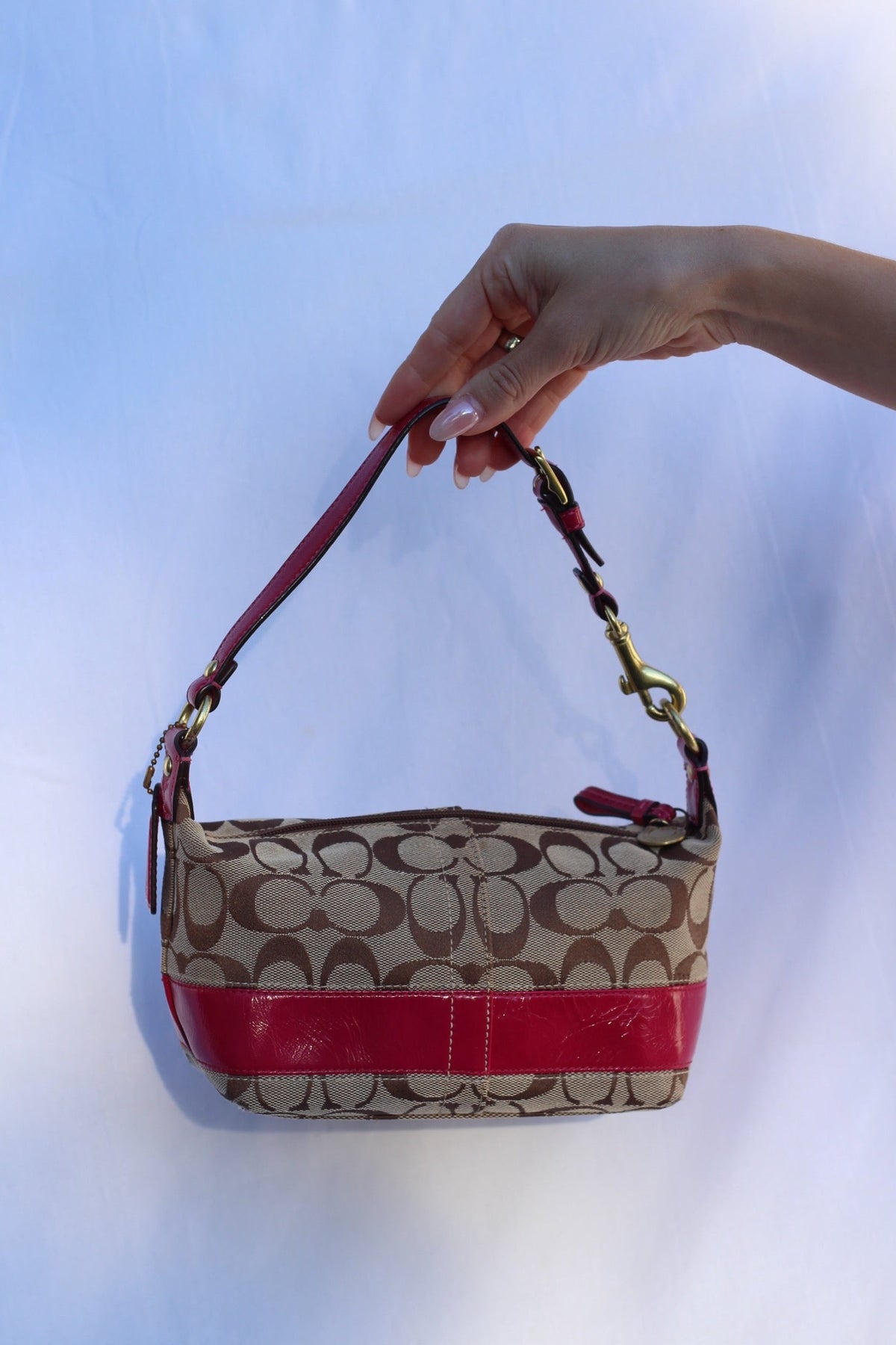 Coach Signature Canvas Mini Bag