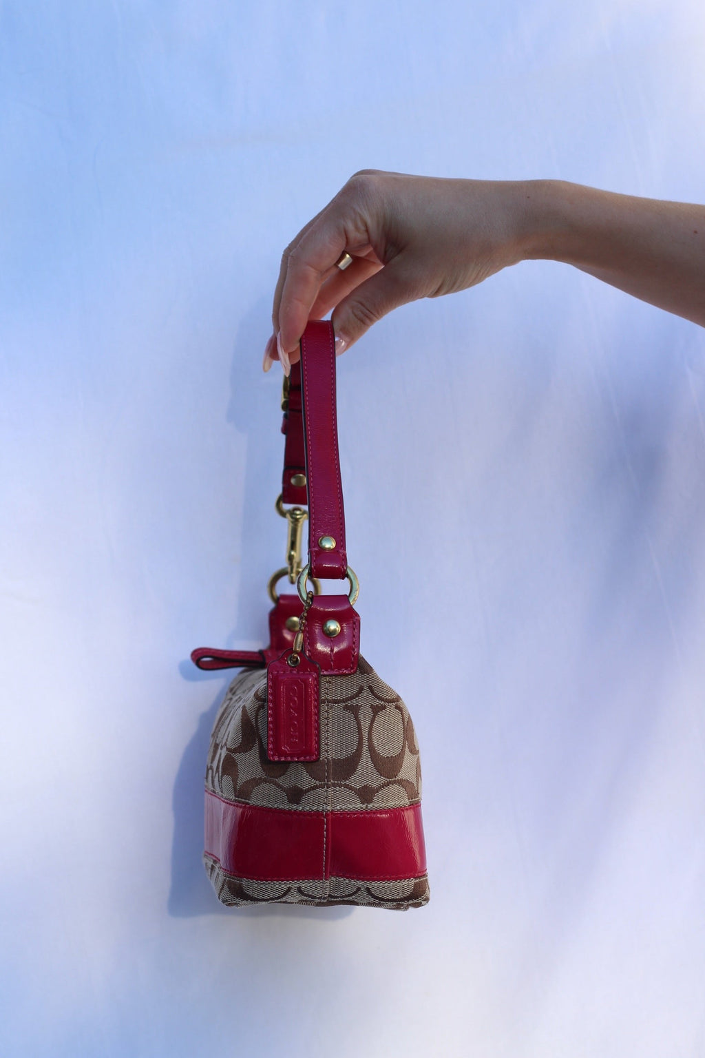 Coach Signature Canvas Mini Bag