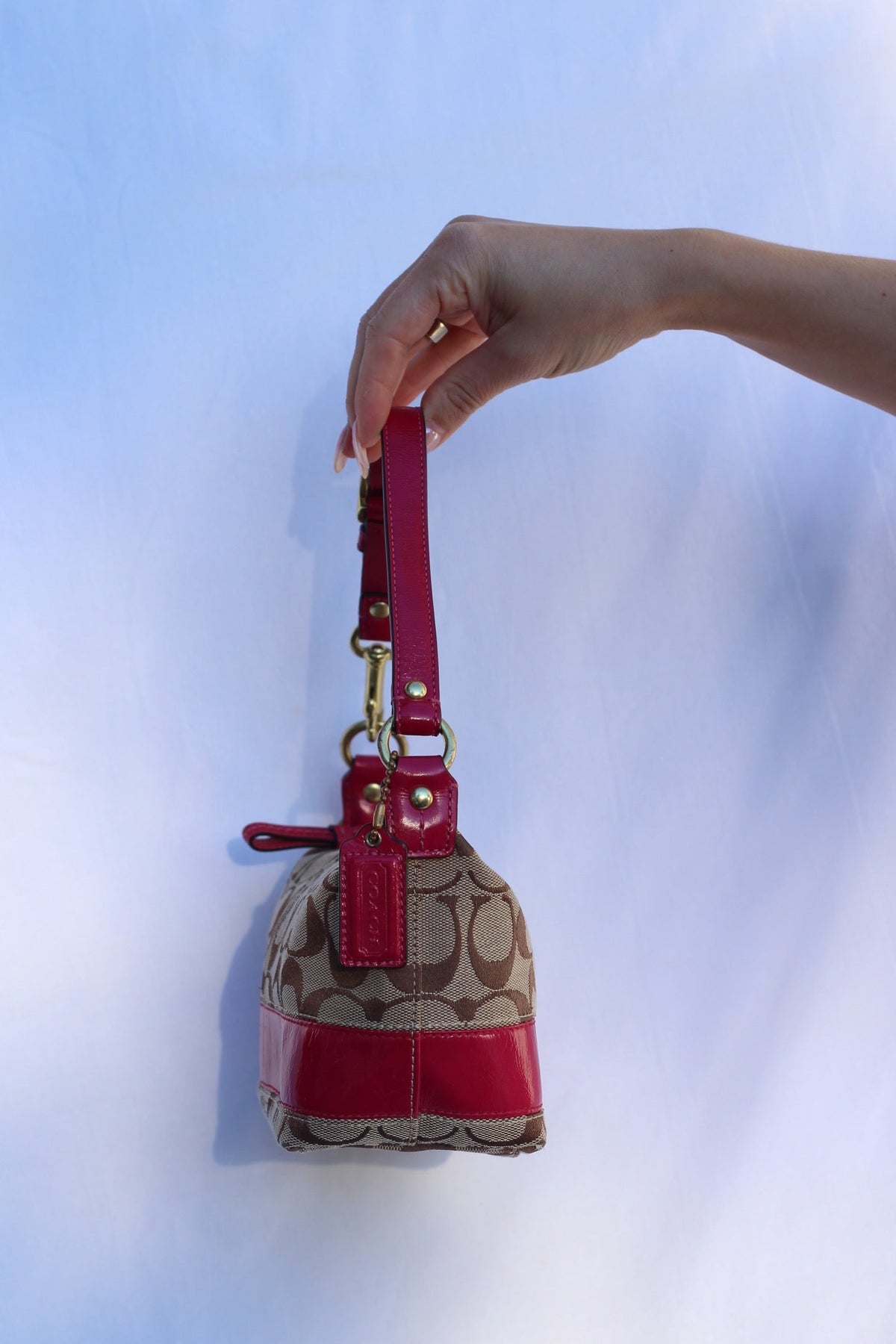 Coach Signature Canvas Mini Bag