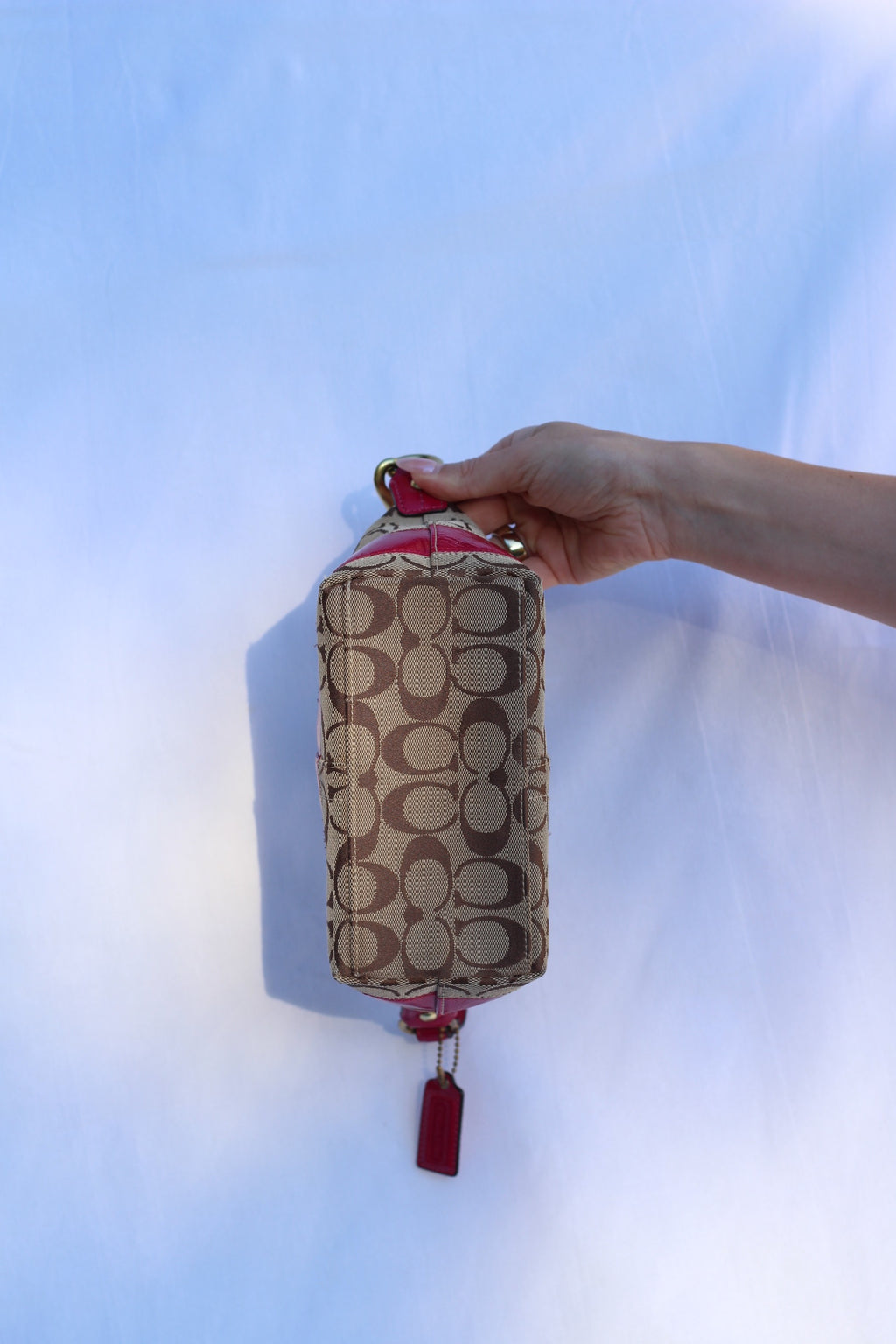 Coach Signature Canvas Mini Bag